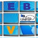web tv A.I.S.M.O. Onlus